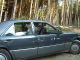 VOITURE - CAR 241